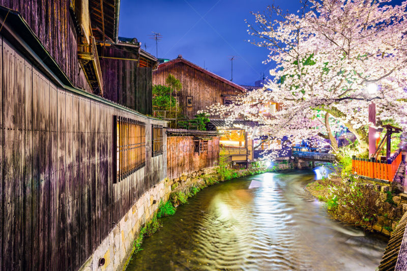 京都府,春天,京都市,祗园,江户时代,水,水平画幅,樱花,夜晚,运河