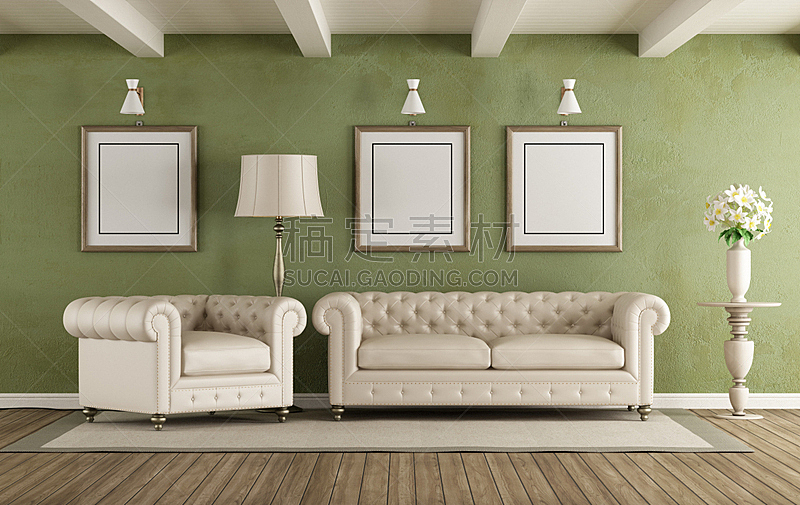 白色,绿色,起居室,简单,白灰泥,边框,水平画幅,无人,硬木地板,家庭生活