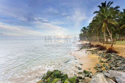 海滩,斯里兰卡,水,水平画幅,沙子,无人,极乐鸟,夏天,户外,棕榈树