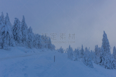 Auf dem Weg durch die schöne Winterlandschaft im Harz