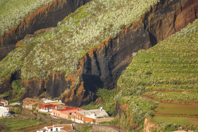 特内里费岛,加那利群岛,火山渣锥,高架铁路铁轨,大西洋,北美歌雀,小的,植物,户外,建筑