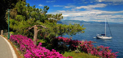 地中海,松树,路边,玛格丽特,度假胜地,水平画幅,山,无人,圣诞老人