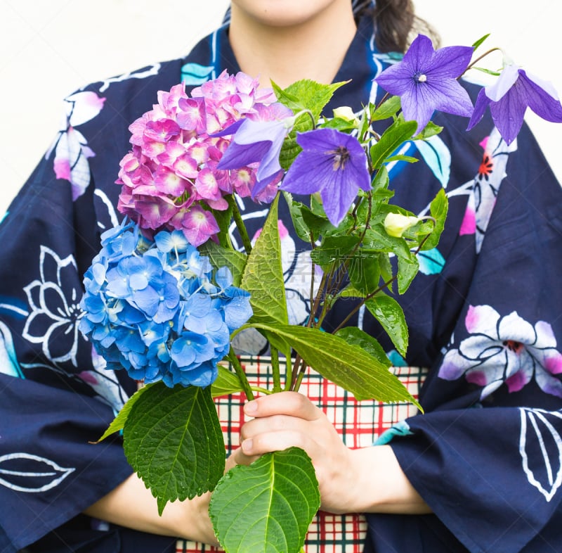 和服,女人,东京时装周,便装和服,木底鞋,八仙花属,星和园,时装表演会,美,穿衣服