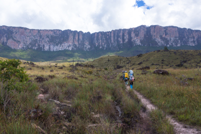 罗赖马山,平顶山,canaima,罗赖马州,平顶山区,委内瑞拉,南美,水平画幅,无人,户外