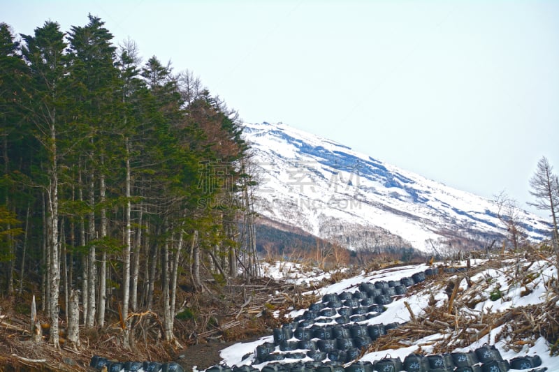 富士山,日本,箱根园,伊豆半岛,火山口,熔岩,水,灵性,公园,里山