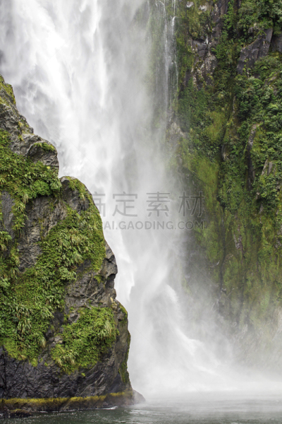 doubtful sound,斯特灵瀑布,米佛峡湾,垂直画幅,瀑布,无人,噪声,苔藓,户外,山