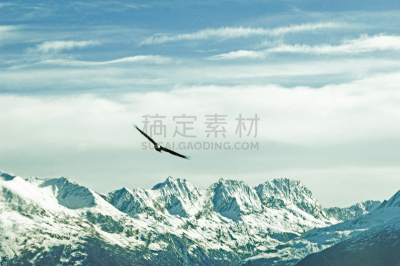 鹰,山脉,在上面,食肉鸟,水平画幅,高视角,云,雪,符号,鸟类