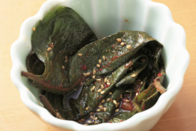 过时的,韩国泡菜,人种,水平画幅,韩国食物,和服,盐渍食品,食品,摄影