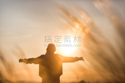 女人,手臂,开着的,自然,日光,白色人种,田地,中老年人,站,抱