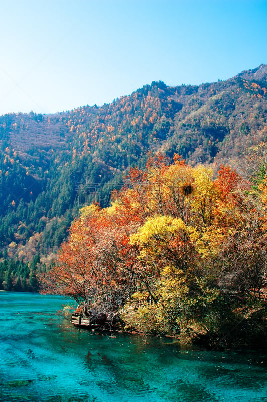 九寨沟 ,中国,山谷,四川省,风景,九寨沟风景名胜区,镜湖,垂直画幅,水,天空