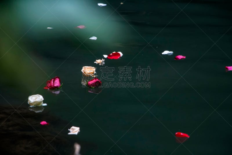 白色,红色,水面,粉色,花瓣,在上面,水,美,禅宗,水平画幅