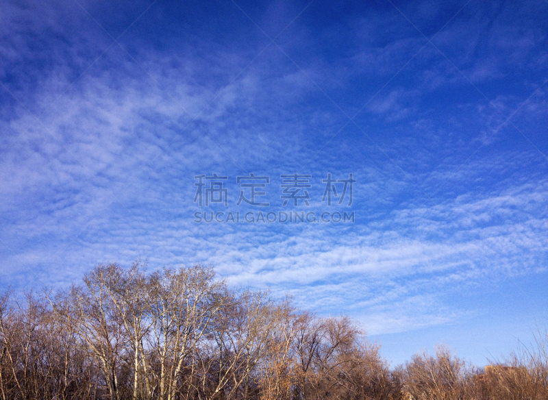 天空,云,冬天,水平画幅,高视角,枝繁叶茂,无人,户外,草,云景
