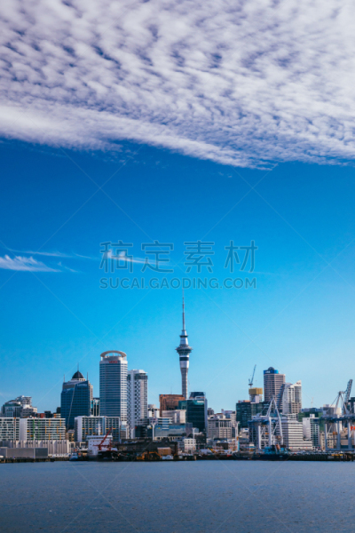 奥克兰,新西兰,票价,南太平洋,新西兰北岛,渡轮,船尾波,垂直画幅,水,天空