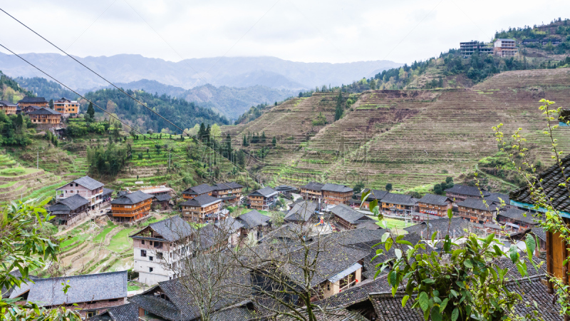 山,乡村,山谷,高视角,龙脊山,龙脊梯田,龙胜,桂林,水稻梯田,梯田