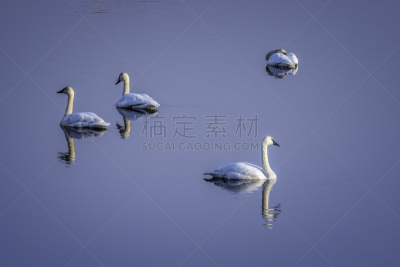 水,天空,蓝色,宁静,一对,汽车视镜,颊肌,小号,美,水平画幅