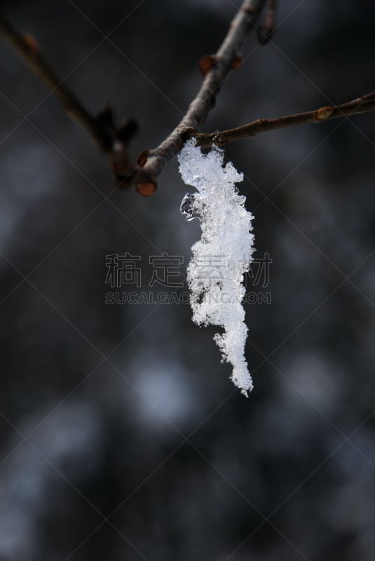 雕塑,浇糖浆,特拉华,冰雕,自然,垂直画幅,水,水的凝结形态,寒冷,温度