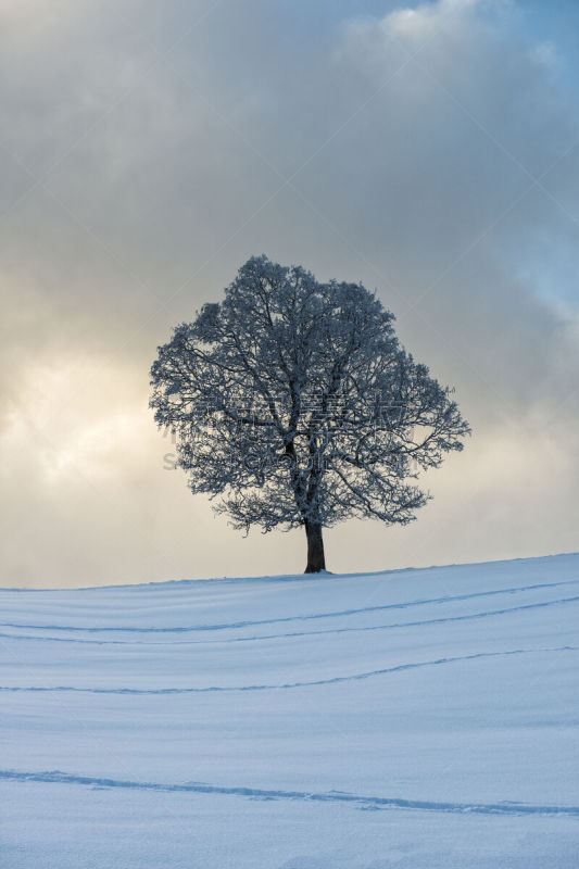 山,雪,戏剧性的天空,冻结的,福拉尔贝格州,脚印,垂直画幅,天空,留白,无人