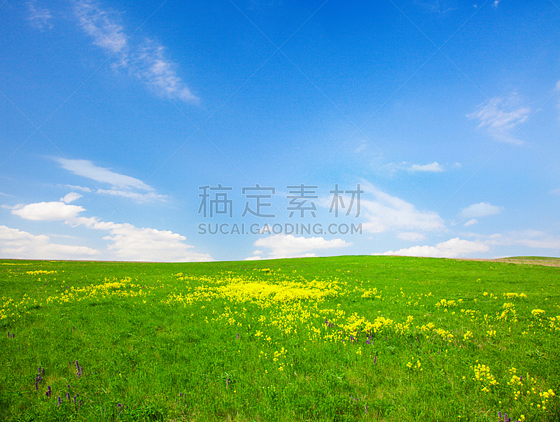 蓝色,云,黄色,田地,在下面,天空,美,水平画幅,山,无人