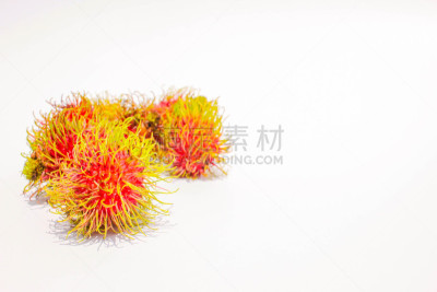 红毛丹,白色背景,自然,式样,水平画幅,水果,有机食品,夏天,特写,甜点心