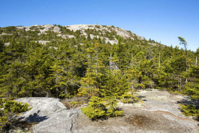 花岗岩,山,千禧穹顶,火警观察塔,更新世时期,冰河时代,裸子植物,新罕布什,水平画幅,无人