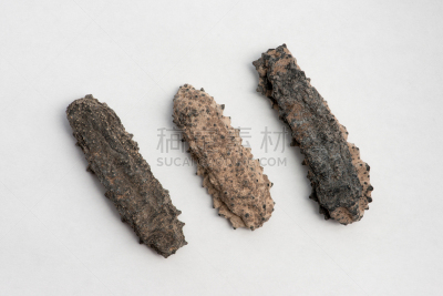 海参,干燥食品,分离着色,白色,水平画幅,海产,海底,东方食品,东南亚,焖菜
