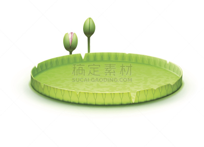 睡莲,防护品,百合花,维多利亚州,维多利亚,亚马逊地区,磁盘,荷花,充气筏,植物园