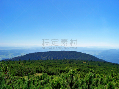 山,松树,水平画幅,无人,夏天,户外,针叶树,特写,山脊,植物