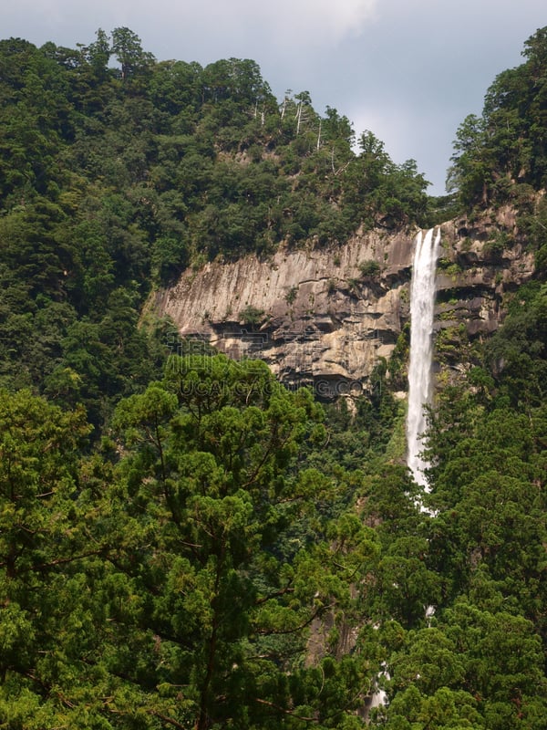 著名景点,日本,瀑布,名声,那智胜浦町,和歌山县,垂直画幅,无人,摄影,旅行