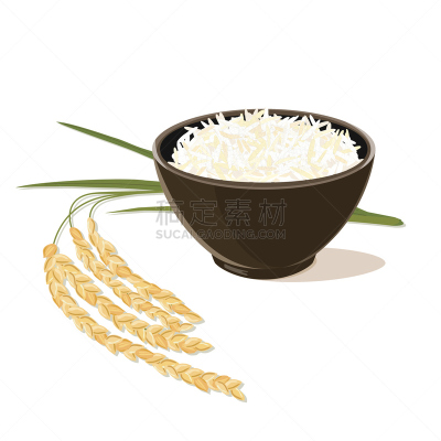 米,碗,充满的,稻,印度香米,茉莉,农业,长的,东方食品,餐具