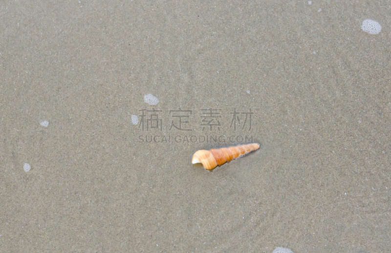 贝壳,海滩,水,美,水平画幅,沙子,夏天,异国情调,泰国,大洋洲