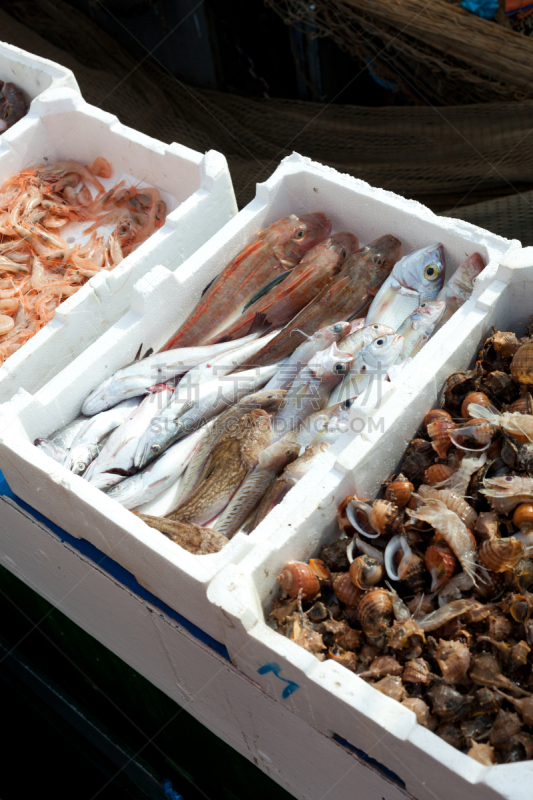 海港,待售,鱼肉,垂直画幅,开胃品,海产,户外,鼻涕虫,聚苯乙烯,海洋