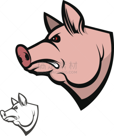 猪,动物头,设计元素,农业,部分,背景分离,食品,哺乳纲,lloyd bacon,动物
