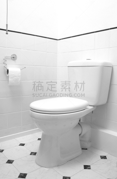 卫生间,农牧之神潘,公共厕所,卫生纸,垂直画幅,住宅房间,浴室,房地产,瓷砖,偏远的
