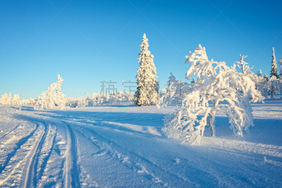 大风雪,芬兰,冬天,萨利色尔卡,冻结的,地形,拉普兰,环境,霜,雪