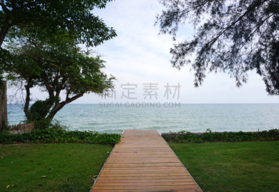 草坪,厚木板,木材,步行道路,草,海洋,绿色,俄亥俄河,都市风光,带领