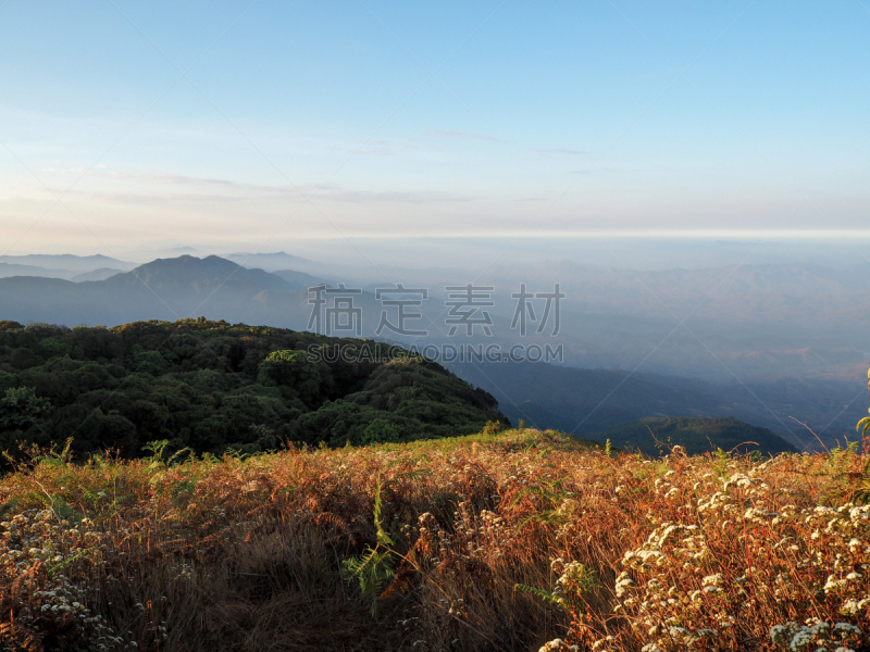 自然,风景,徒步旅行,茵他侬国家公园,农牧之神潘,邱园,小路,清迈省,地平面,天空