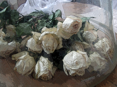 玫瑰,玻璃,在下面,白色,美国,芳香的,水平画幅,高视角,无人,半球形盘