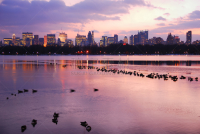纽约,城市天际线,中央公园,水,天空,公园,水平画幅,夜晚,无人,日落