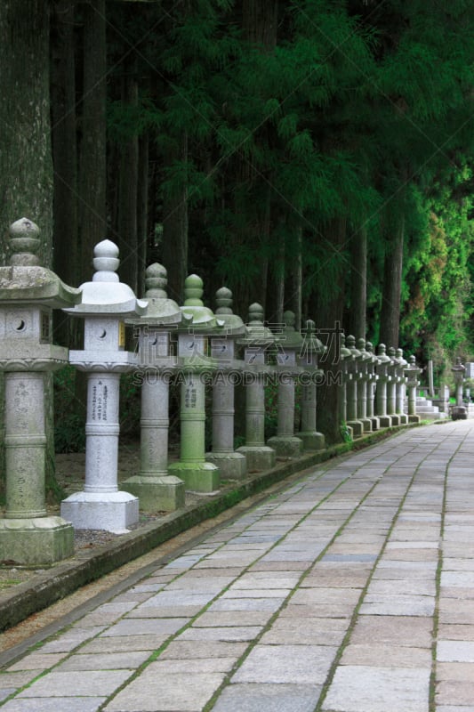 小路,石头,垂直画幅,高野山,灯笼,无人,日本,古屋的内在神社,怪异,石灯笼