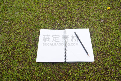 笔记本,绿色,草,留言板,today,任务清单,面无表情,书页,文档,金属丝