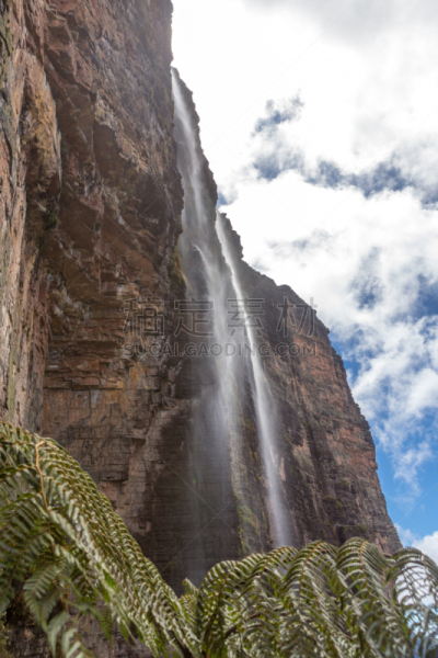 罗赖马山,罗赖马州,平顶山,平顶山区,canaima,委内瑞拉,垂直画幅,南美,无人,户外
