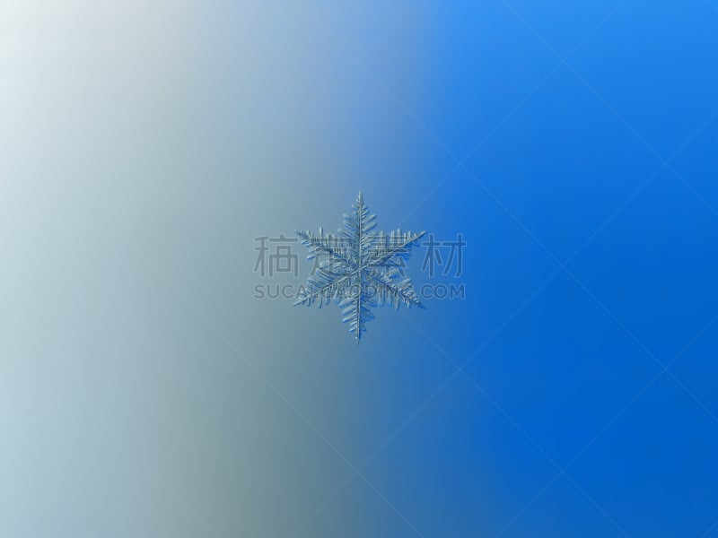 雪花,渐变背景,平滑的,水平画幅,形状,银色,雪,无人,复杂,特写