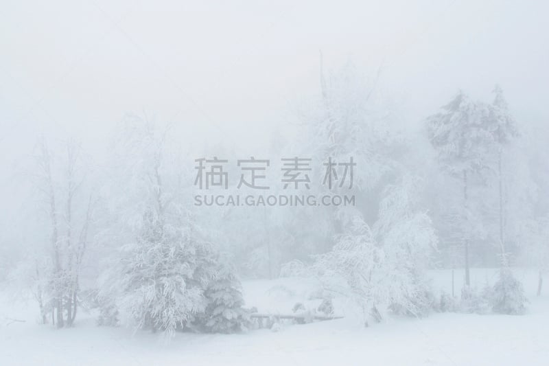 雪天出行,水平画幅,冬天,雪,无人,森林,户外,维吉尼亚,雾,摄影