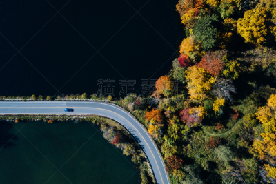 秋天,路,湖,森林,航拍视角,在活动中,旅途,汽车,公路,无人机