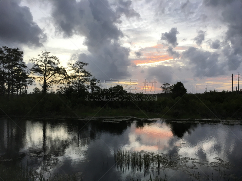 沼泽,沼泽地国家公园,沉没岛,日落湾州立公园,开谱提岛,佛罗里达湾,马可岛,赛尼贝岛,路易斯安那州,水