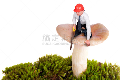 食用菌,小的,男人,巨人,毒红菇,水平画幅,苔藓,户外,白人,男商人
