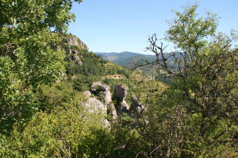 塔河峡谷,法国,自然,沟壑,旅游目的地,水平画幅,绿色,地形,罗泽尔,无人