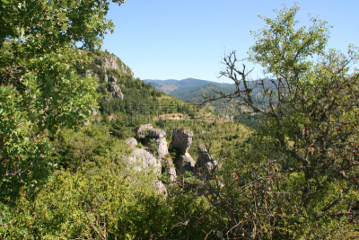 塔河峡谷,法国,自然,沟壑,旅游目的地,水平画幅,绿色,地形,罗泽尔,无人