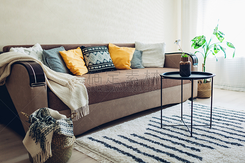 篮子,软垫,沙发,起居室,平坦的,室内,桌子,地毯,植物群,布置