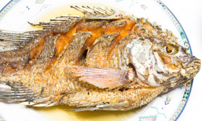 罗非鱼,餐具,自然,格子烤肉,水平画幅,无人,膳食,海产,泰国,盘子
